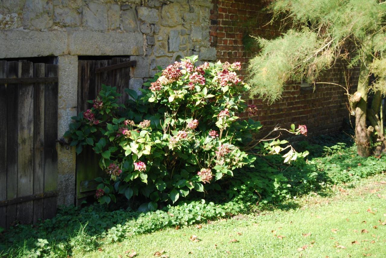 Gite La Grange D'Herbuchenne Dinant Exterior photo